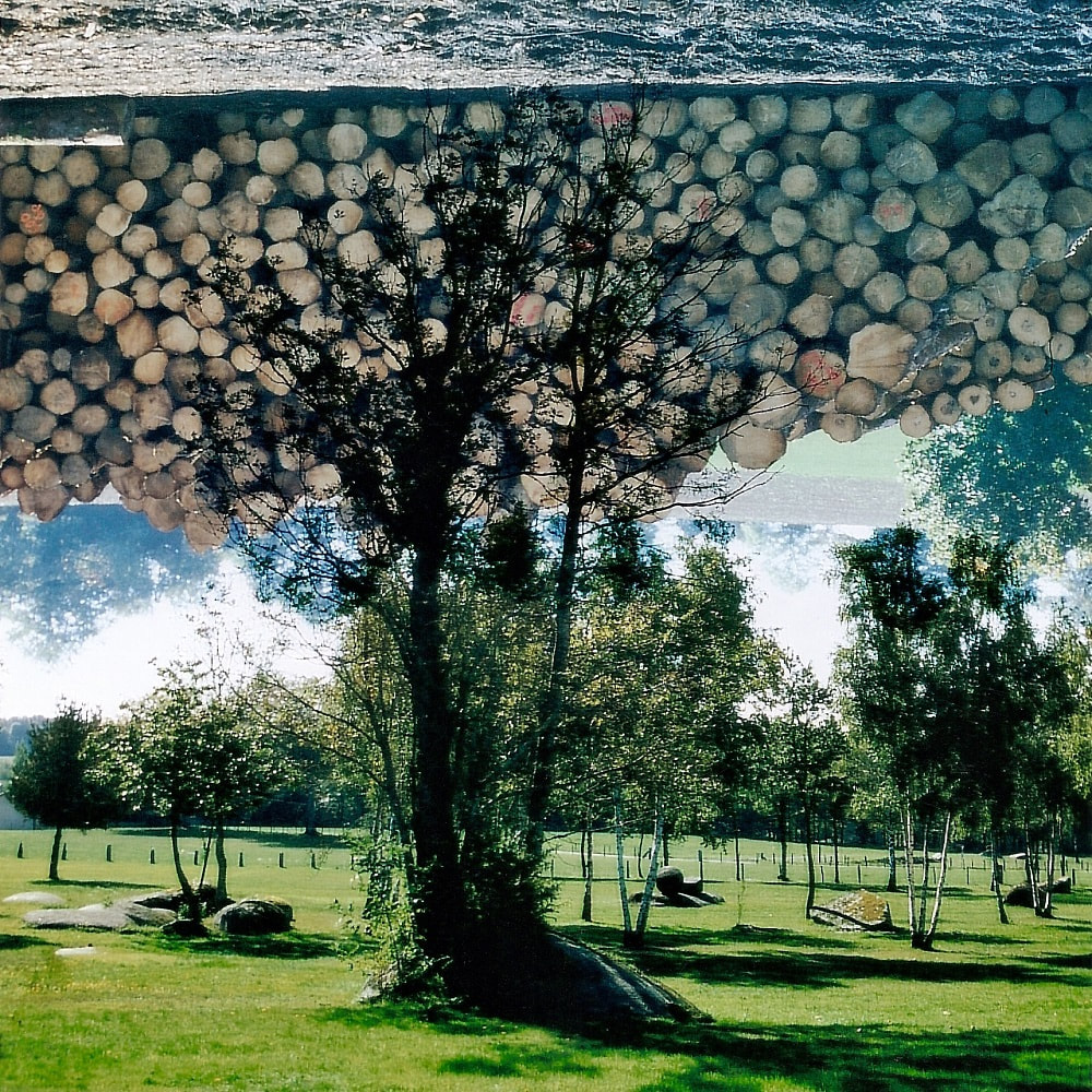 Gerry Joe Weise, Land Art. Concert of Trees, mixed media photographic collage, Sidobre, Brassac, France, 2005.