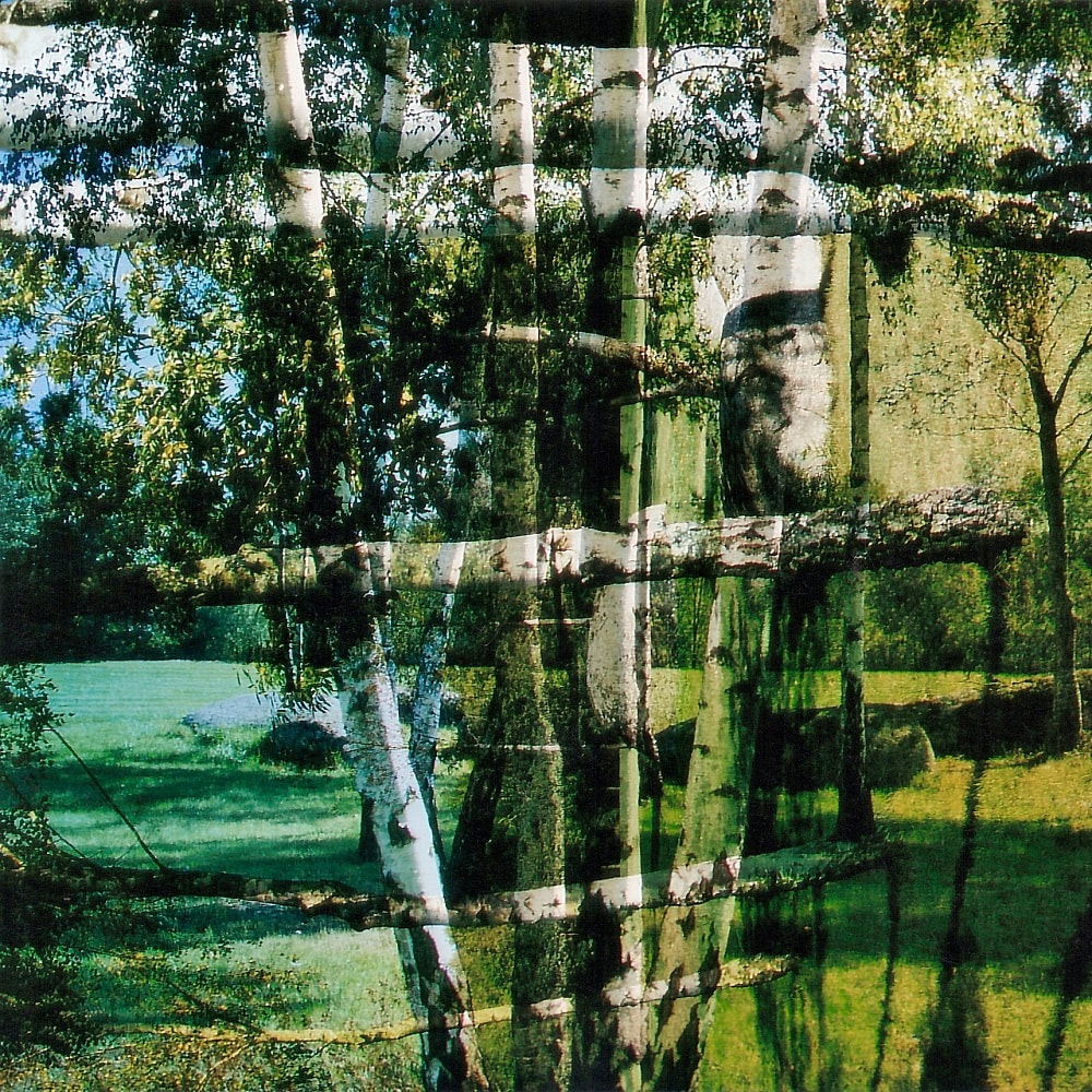 Gerry Joe Weise, Land Art. Voodoo Forest, mixed media photographic collage, Sidobre, Brassac, France, 2005.