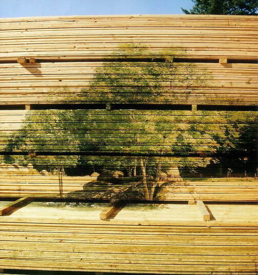Gerry Joe Weise, Land Art. Where to Now? Timber wood installation, Artist's Space Gallery, New York City, USA, 2007.