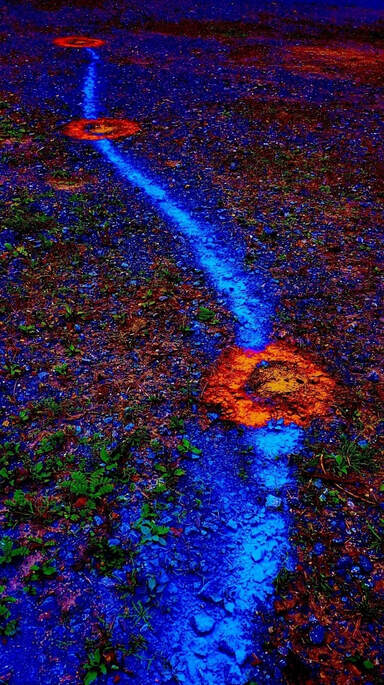 Gerry Joe Weise, Land Art. Blue Ground Painting 2, nature-friendly pigments, minerals and vegetation on board, 2015.