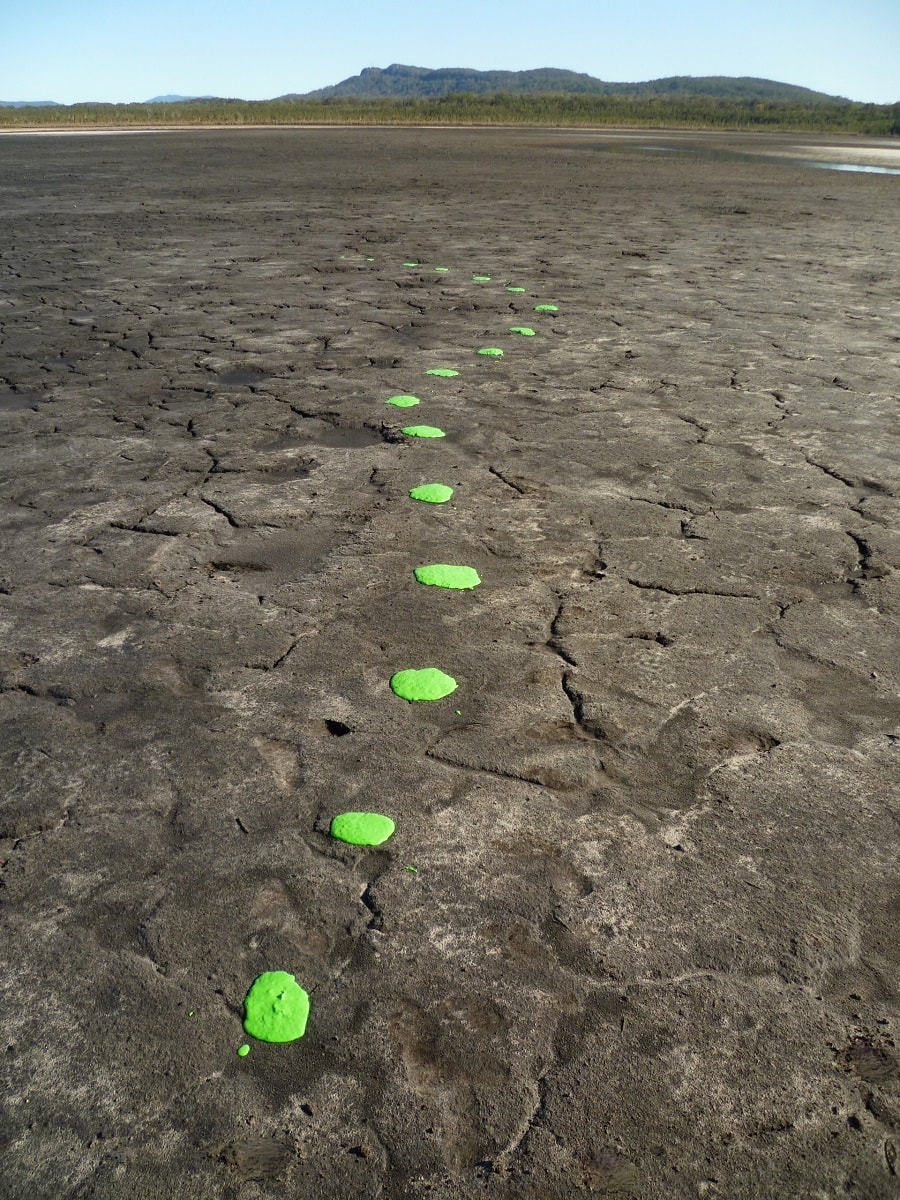 Gerry Joe Weise, Environmental Art Australia, Green Life Seed Mix on a Dead Lake, replanting program installation, 2019.